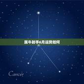 属牛射手6月运势如何，生肖属牛射手zuo2011年运势