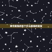 两个属兔的生个什么属相的宝宝，属兔的夫妻生什么属相的孩子好