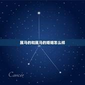 属马的和属马的婚姻怎么样，2022年属马有添丁之喜吗