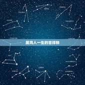 属鸡人一生的吉祥物，吉祥物设计