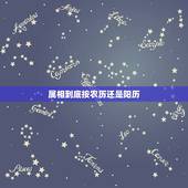 属相到底按农历还是阳历，属相到底按照农历还是阳历？