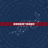 属猪婚配哪个属相最好，属猪女和什么属相最配