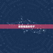感恩相遇的句子，感恩相遇感谢有你句子