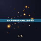 猴的属相婚配猴的属相上面是什么，属猴女的属相婚配表，属猴女和什么属相最