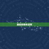 属蛇的明年运势，属蛇的今年运势2021