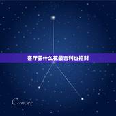 客厅养什么花最吉利也招财，客厅养什么花招财 客厅招财植物