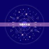 马图片大全，求一幅马的图片