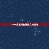 1996属鼠男和属鼠女婚配吗，1996年属鼠男和1996年属鼠女配吗？