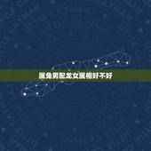 属兔男配龙女属相好不好，属羊男属龙女婚姻状况
