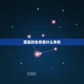 属鼠的生肖是什么年份，属鼠出生在哪些年份更好