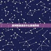 属狗新娘适合什么属相伴娘，新郎新娘都属狗，伴郎伴娘要选属什么的啊，谢谢