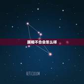 属相不合会怎么样，婚配时说属相不合的人，结婚后如何了？
