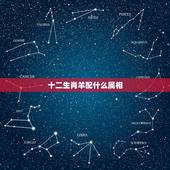 十二生肖羊配什么属相，属羊的和什么属相最配