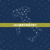 2022属虎今年多少岁了，2022年属虎的是什么
