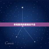 羊和属鸡的属相合不合，马和鸡属相合不合宝贝和妈妈