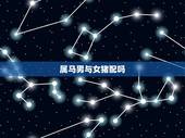 属马男与女猪配吗，属猪女和什么属相最配