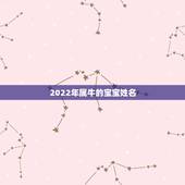 2022年属牛的宝宝姓名，男孩取名牛年宝宝2022年