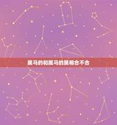 属马的和属马的属相合不合，马和马自刑的后果