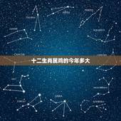 十二生肖属鸡的今年多大，十二生肖今年多大