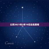 公历2021年2年10日出生属相，2021年24岁属什么生肖，2021