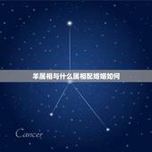 羊属相与什么属相配婚姻如何，属羊的婚姻配什么属相好