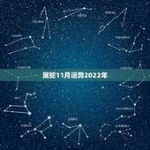 属蛇11月运势2022年，属蛇2022 年1月到腊月运势