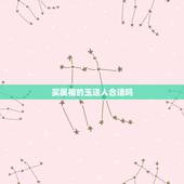 买属相的玉送人合适吗，如何选择适合的玉送人