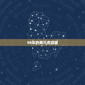 98年的两只虎结婚，虎配虎婚姻好不好1998