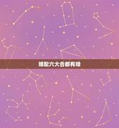 婚配六大合都有啥，合八字出来的婚配有几种
