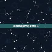 属相羊和狗生出来是什么，羊爸爸和狗妈妈生什么属相的宝宝好