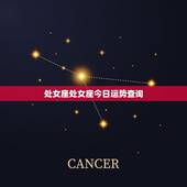 处女座处女座今日运势查询，今天处女座星座运势