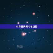 93年属鸡男今年运势，我93年，属鸡，天枰座，今年运气怎么样啊？