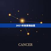 2021年各属相凶星，2021年犯太岁生肖是哪些？