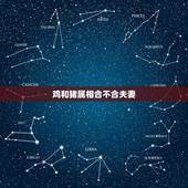 鸡和猪属相合不合夫妻，属鸡和属蛇属猪的三者组一家庭合不合