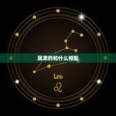 属龙的和什么相配，龙找什么属相更好