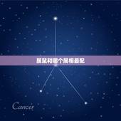 属鼠和哪个属相最配，属老鼠和什么属相最配