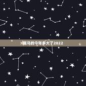 属马的今年多大了2022，属马2022年全年运势和运程