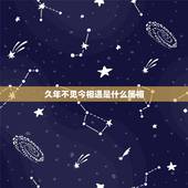 久年不见今相遇是什么属相，十多年朋友没见今天相聚在一起用什么来形容她呢