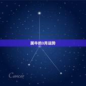 属牛的3月运势，1997年三月初一属牛的运势如何