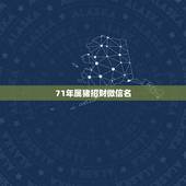 71年属猪招财微信名，属猪的女生用什么头像做微信头像好