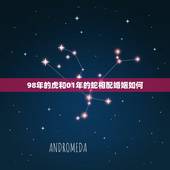98年的虎和01年的蛇相配婚姻如何，98年的虎与01年的蛇能结婚吗