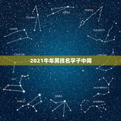 2021牛年男孩名字子中间，包含水和草的男孩名字