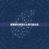 貔貅放在家里什么地方最合适，貔貅可以放在卧室吗 貔貅放家里什么位置好