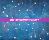 请问1999年出生的今年几岁了，我1999年出生，请问今年几周岁？