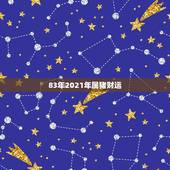 83年2021年属猪财运，1983年属猪女在2021年的运势