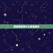 属猪婚配属什么属相最好，属猪配什么属相最合适