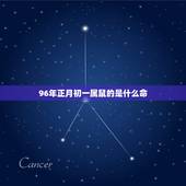 96年正月初一属鼠的是什么命，1996年正月初一出生的人命运