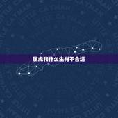 属虎和什么生肖不合适，虎和什么生肖最配最不配
