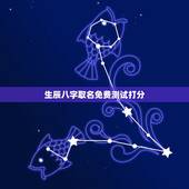 生辰八字取名免费测试打分，生辰八字取名字打分数免费？