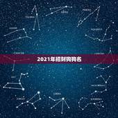 2021年招财狗狗名，招财不俗气的狗狗名字？